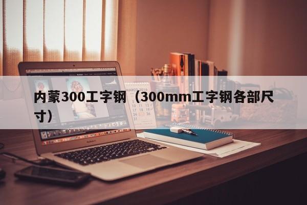 内蒙300工字钢（300mm工字钢各部尺寸）